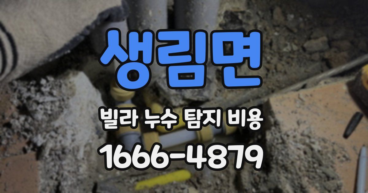 생림면 빌라 누수 탐지 비용