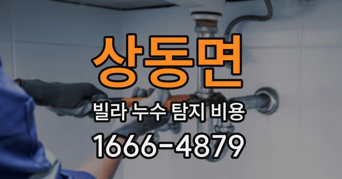 상동면 빌라 누수 탐지 비용