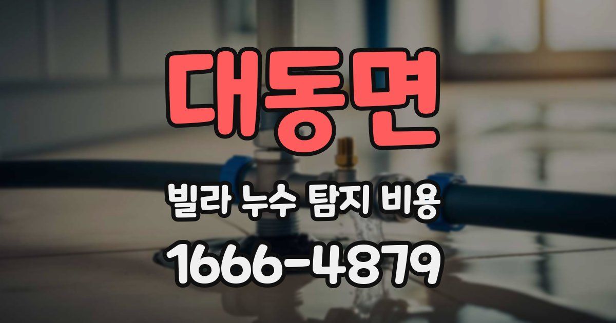 대동면 빌라 누수 탐지 비용