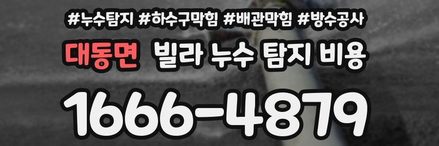 대동면 빌라 누수 탐지 비용