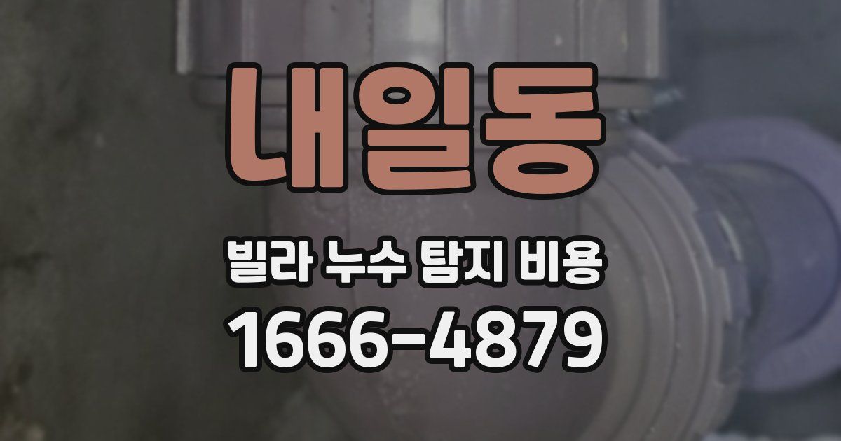 내일동 빌라 누수 탐지 비용