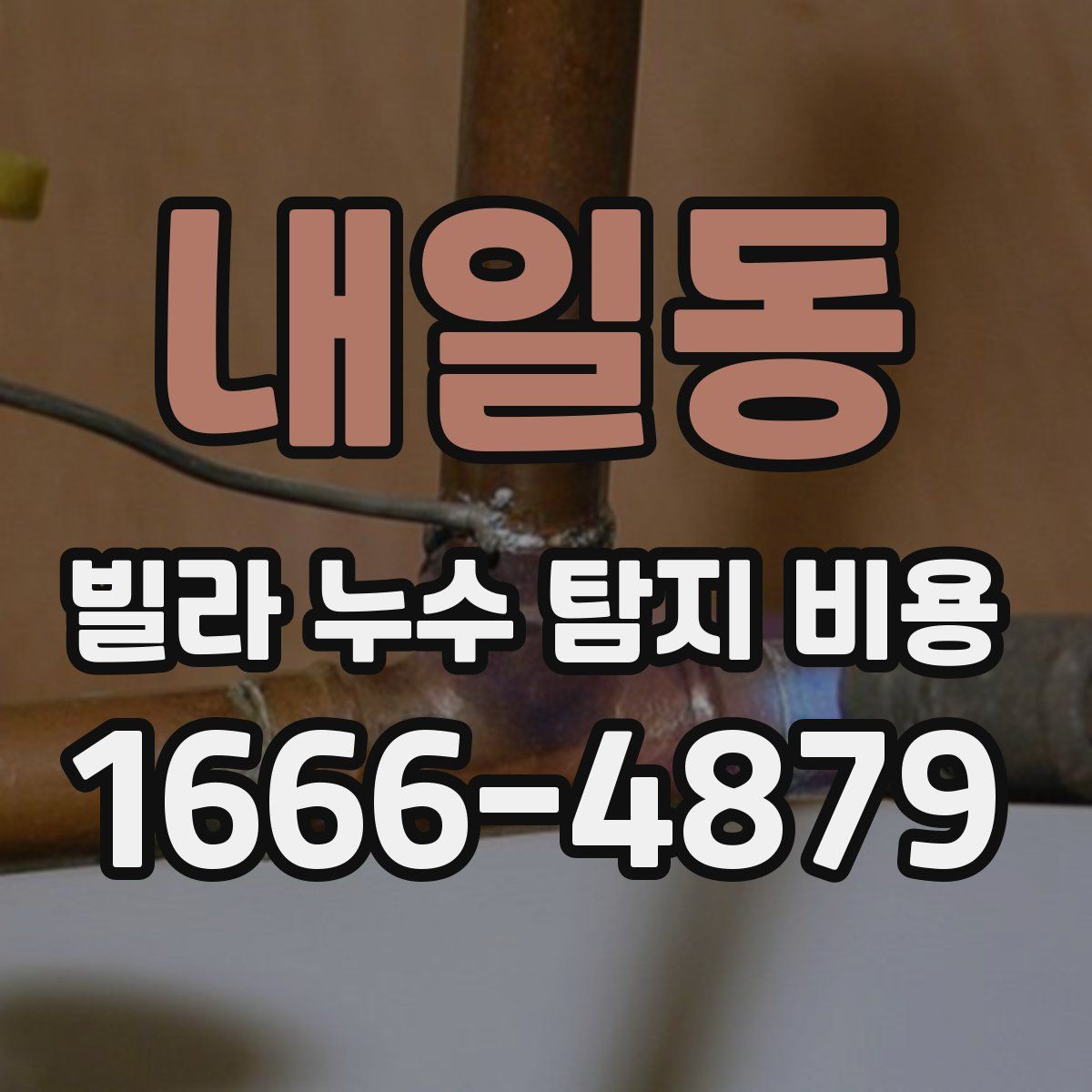 내일동 빌라 누수 탐지 비용
