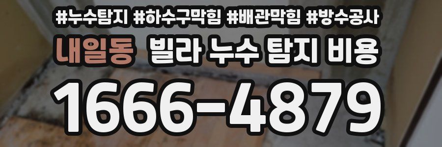 내일동 빌라 누수 탐지 비용
