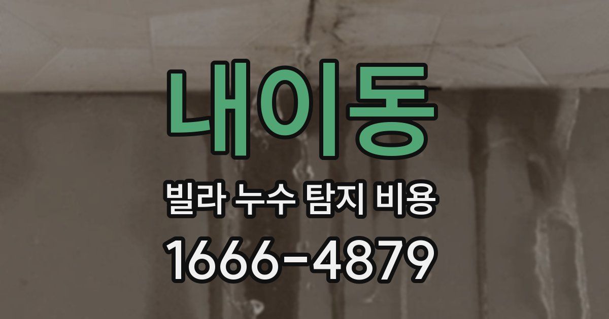 내이동 빌라 누수 탐지 비용