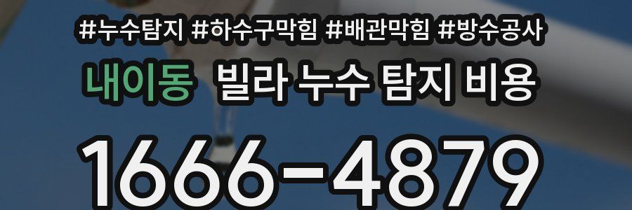 내이동 빌라 누수 탐지 비용