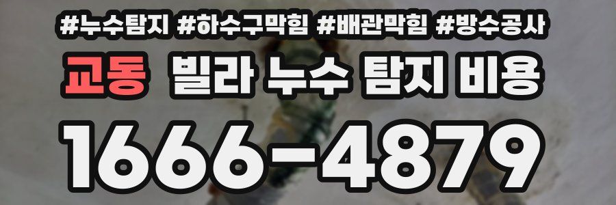 교동 빌라 누수 탐지 비용