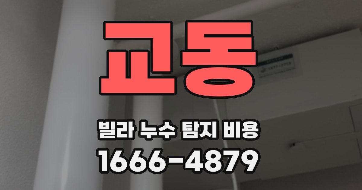 교동 빌라 누수 탐지 비용