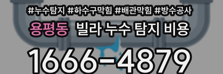용평동 빌라 누수 탐지 비용