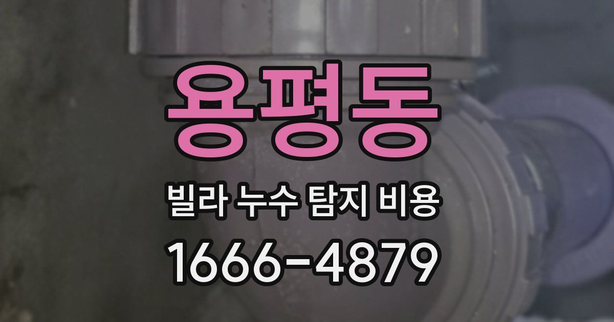 용평동 빌라 누수 탐지 비용