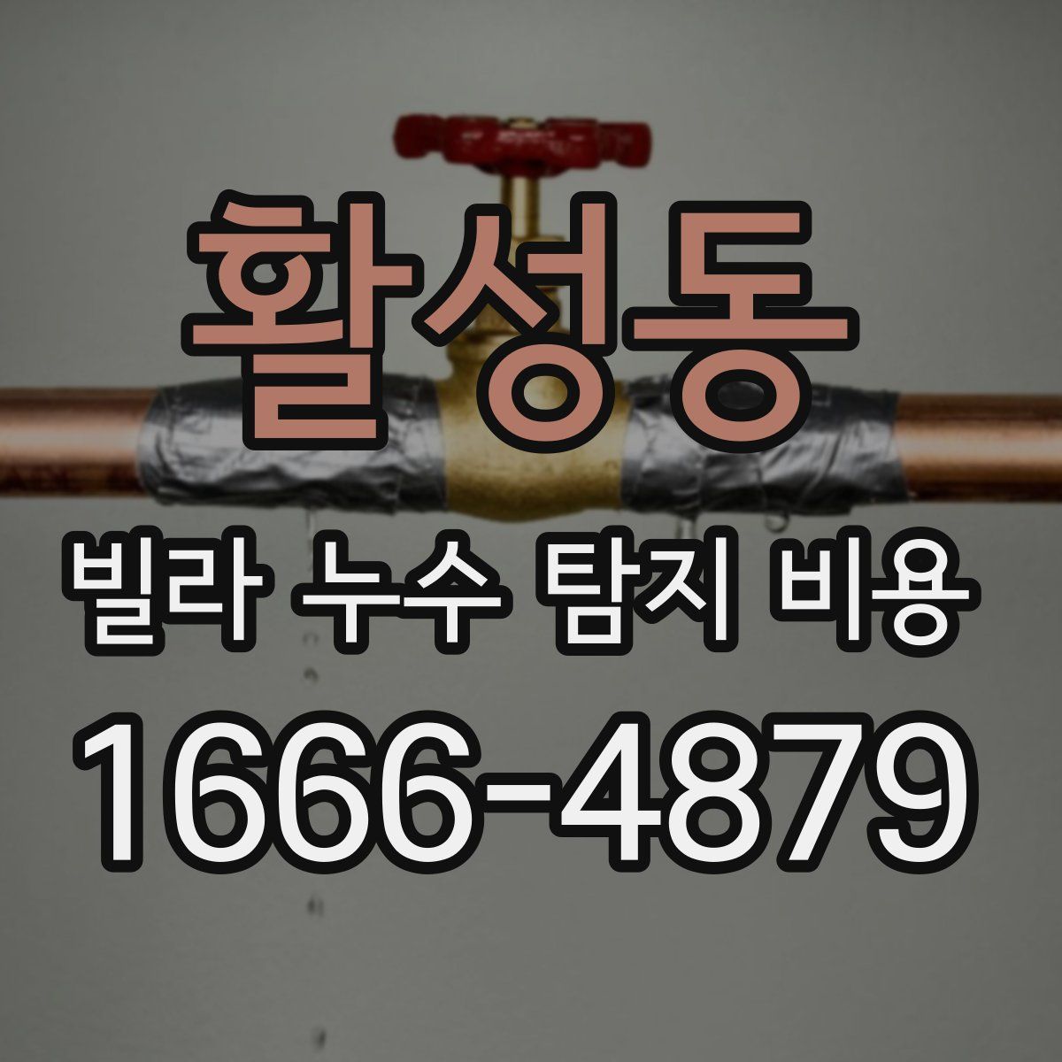 활성동 빌라 누수 탐지 비용