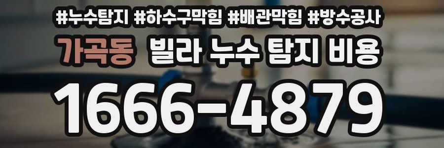 가곡동 빌라 누수 탐지 비용
