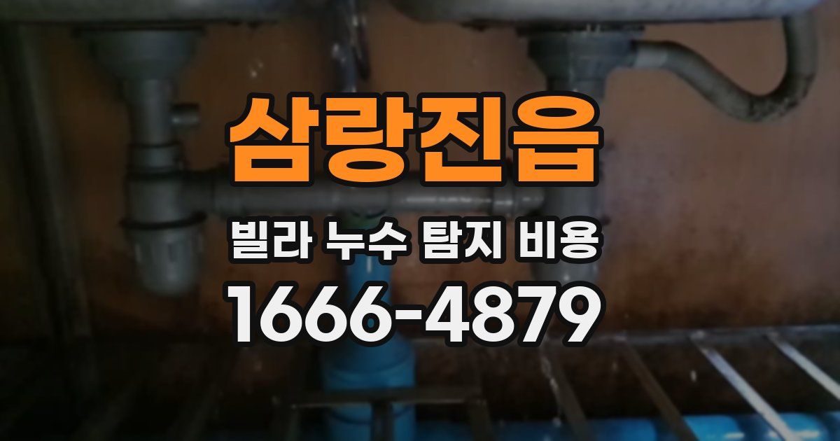 삼랑진읍 빌라 누수 탐지 비용