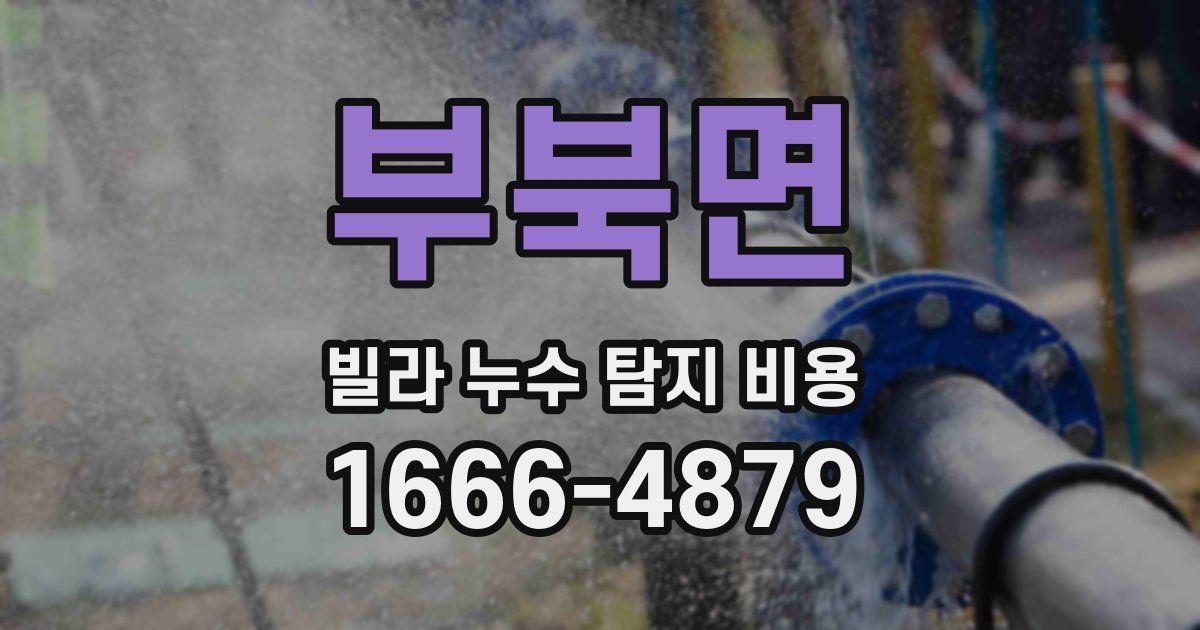 부북면 빌라 누수 탐지 비용