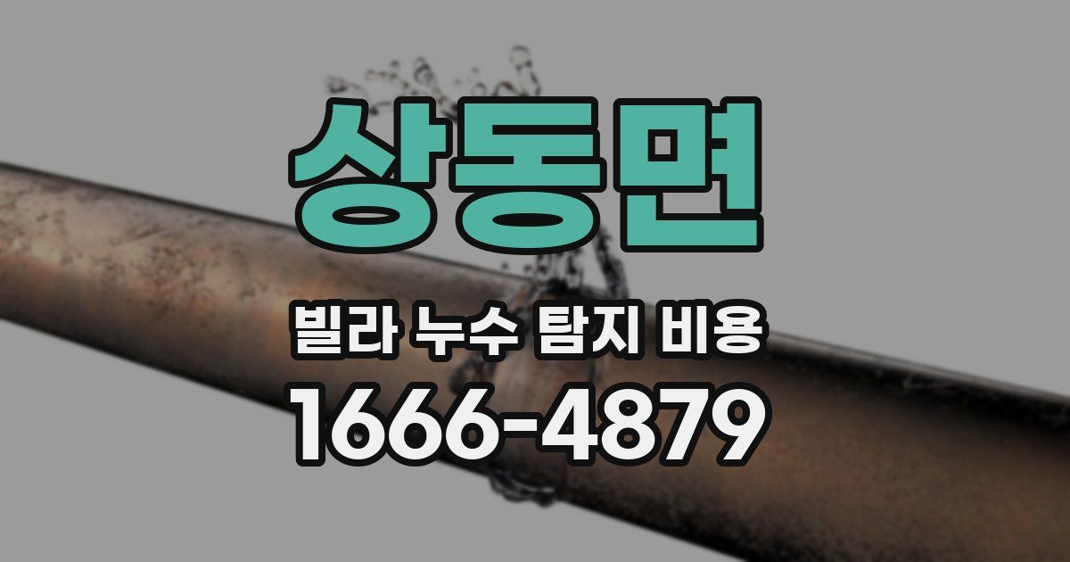 상동면 빌라 누수 탐지 비용