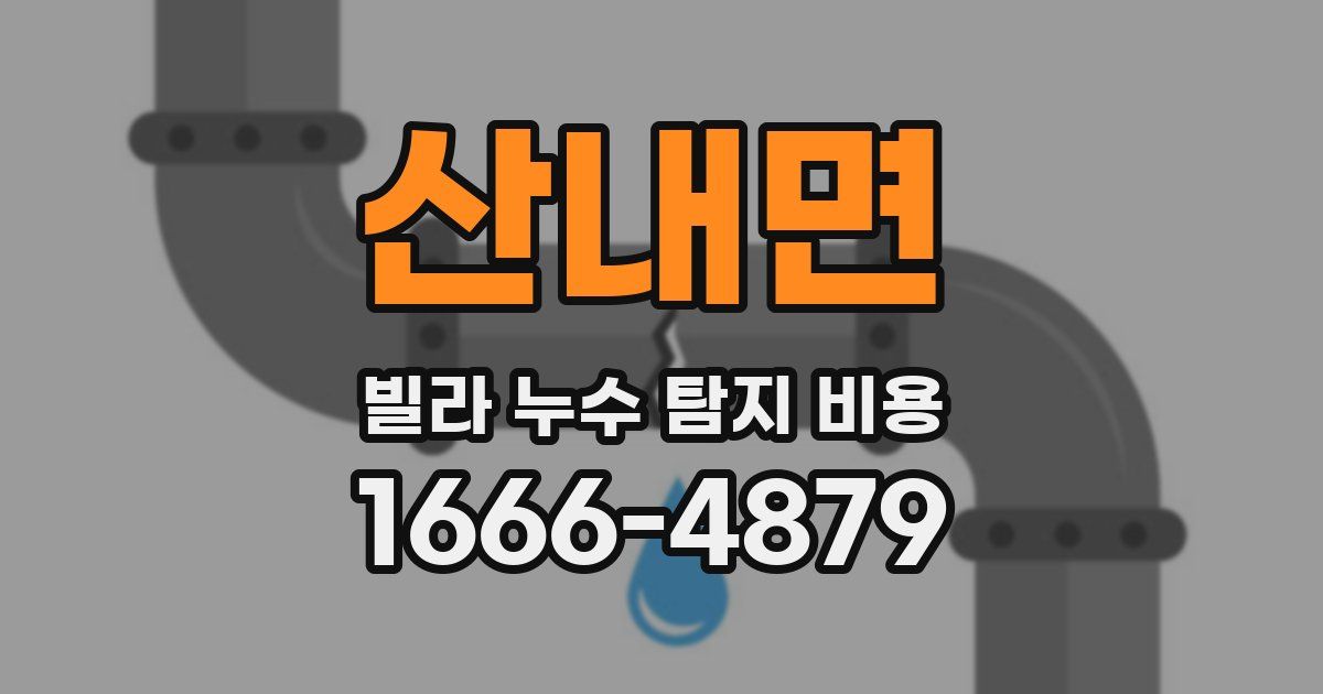 산내면 빌라 누수 탐지 비용