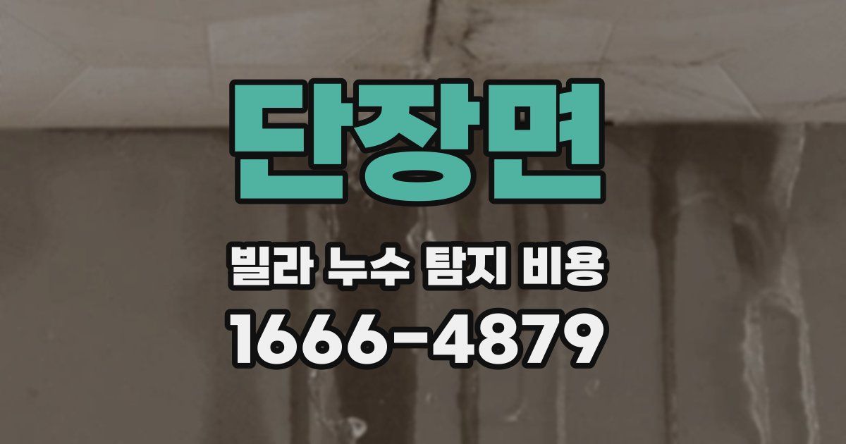 단장면 빌라 누수 탐지 비용