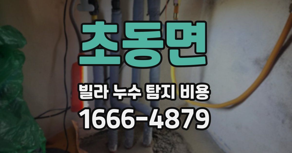 초동면 빌라 누수 탐지 비용
