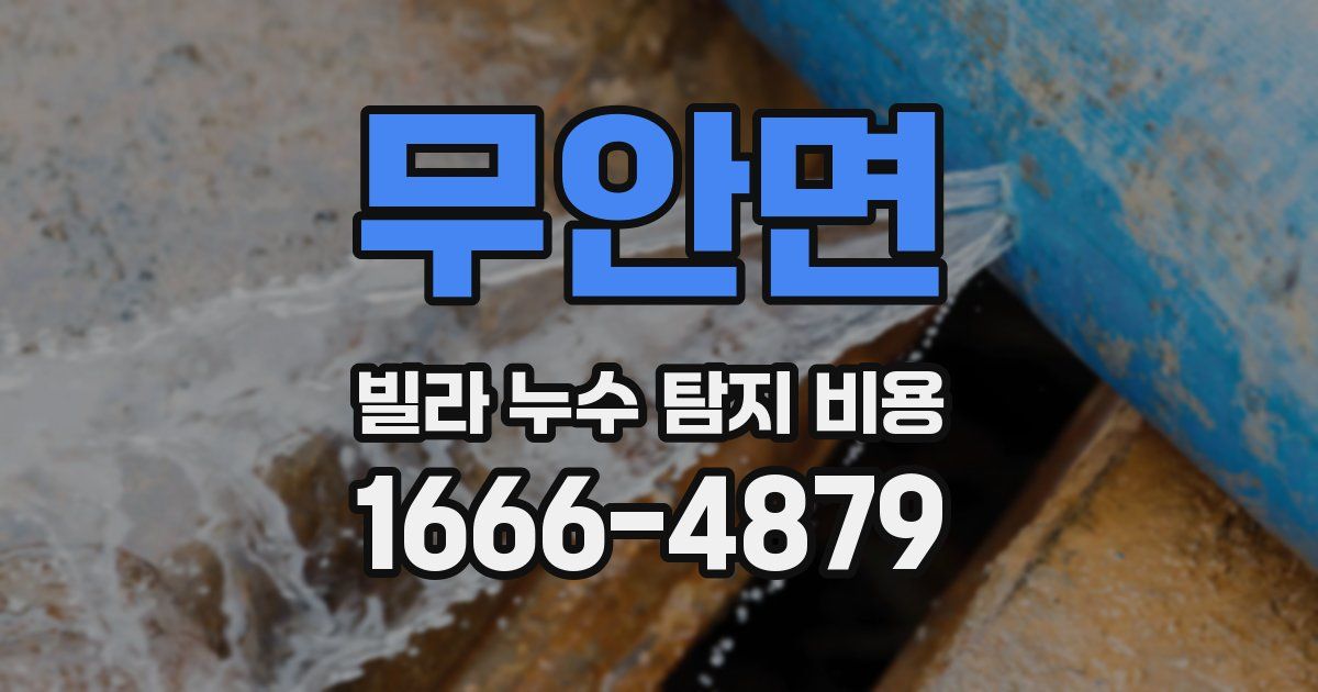 무안면 빌라 누수 탐지 비용