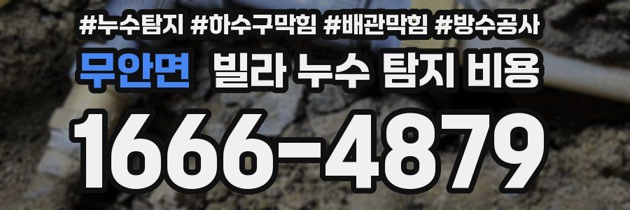 무안면 빌라 누수 탐지 비용