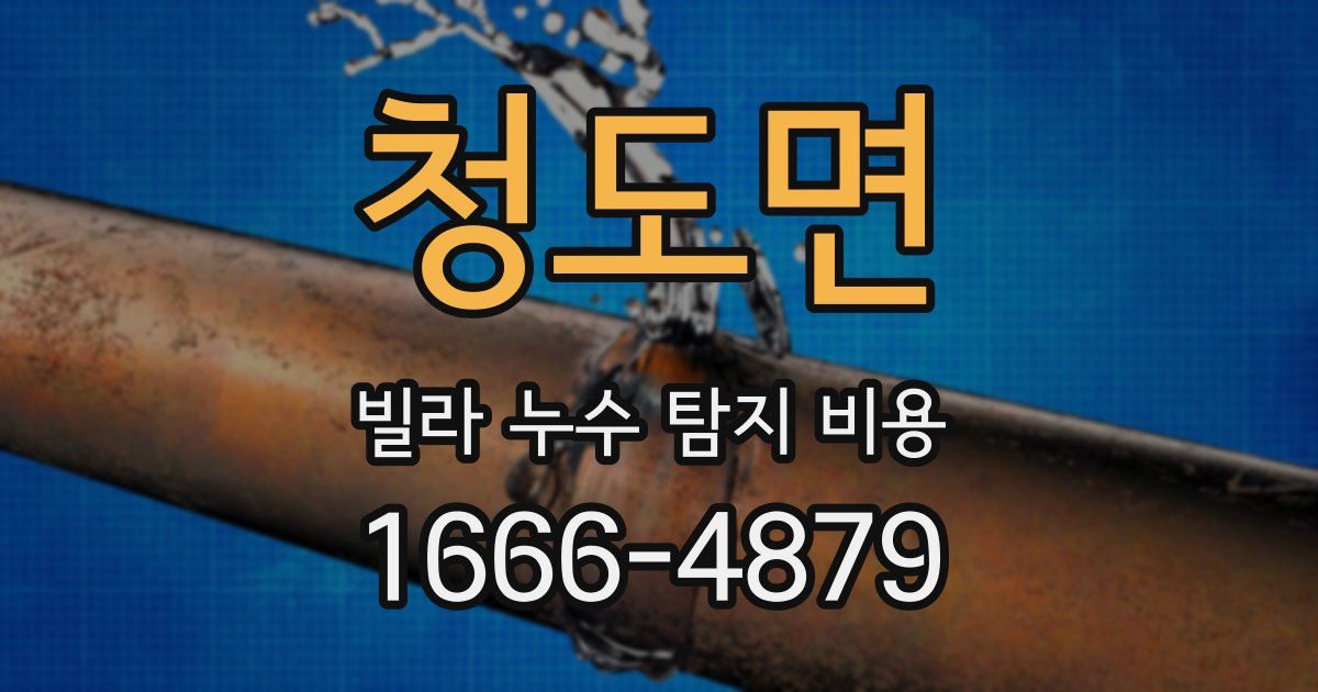 청도면 빌라 누수 탐지 비용