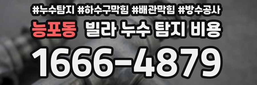 능포동 빌라 누수 탐지 비용