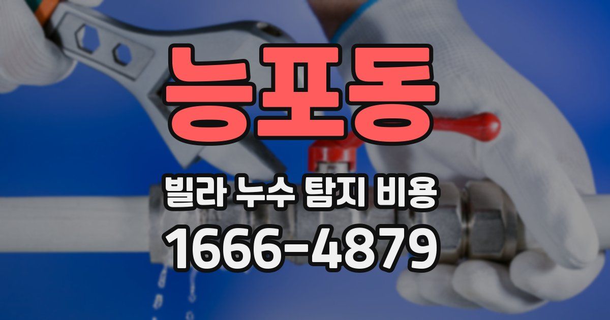 능포동 빌라 누수 탐지 비용