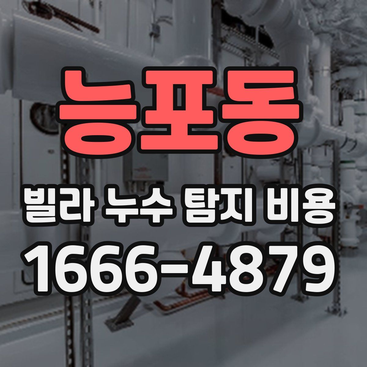 능포동 빌라 누수 탐지 비용