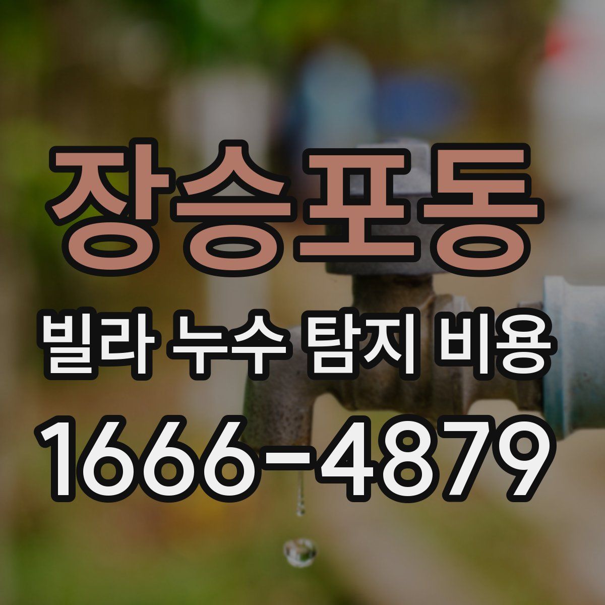 장승포동 빌라 누수 탐지 비용