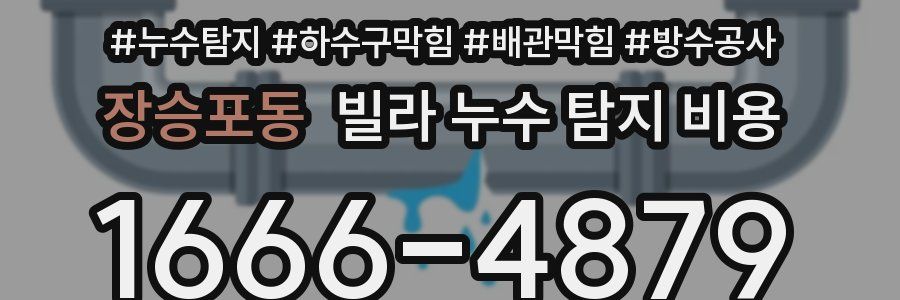 장승포동 빌라 누수 탐지 비용