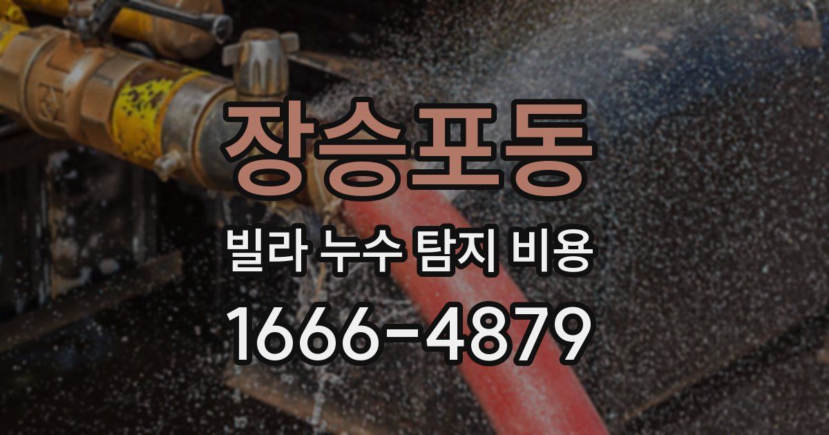 장승포동 빌라 누수 탐지 비용