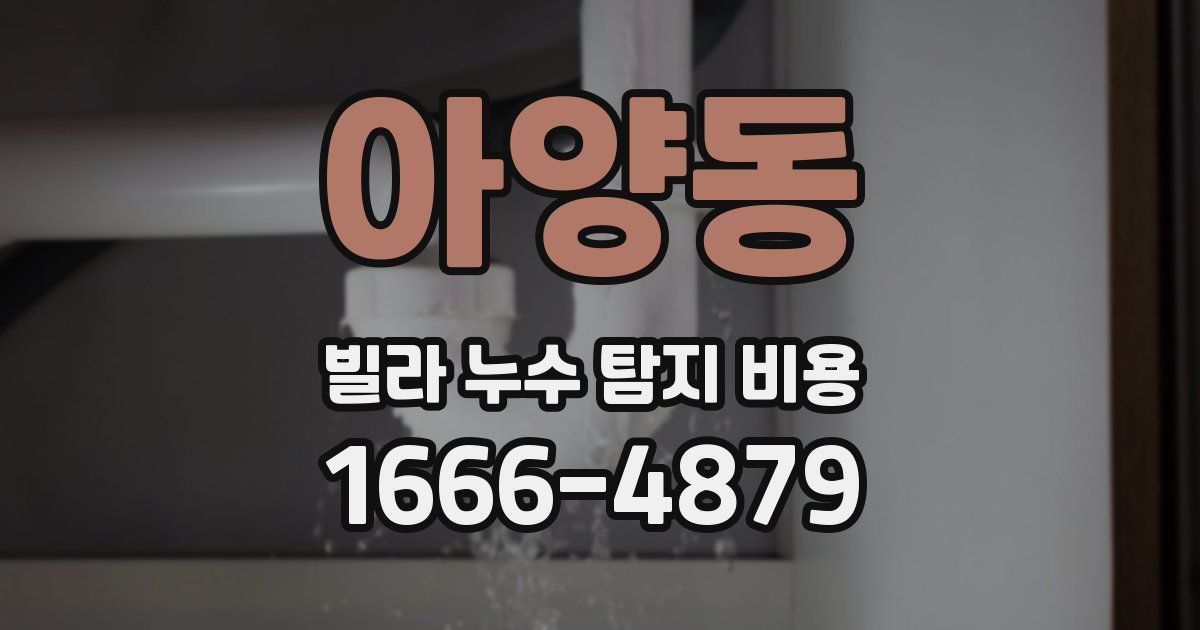 아양동 빌라 누수 탐지 비용