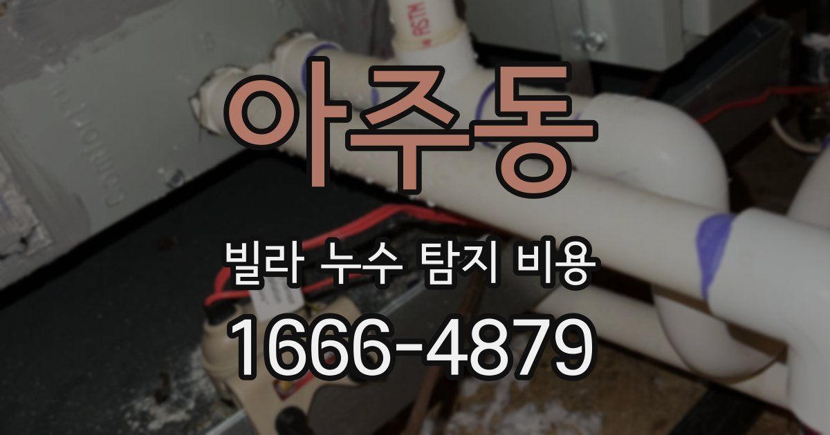 아주동 빌라 누수 탐지 비용
