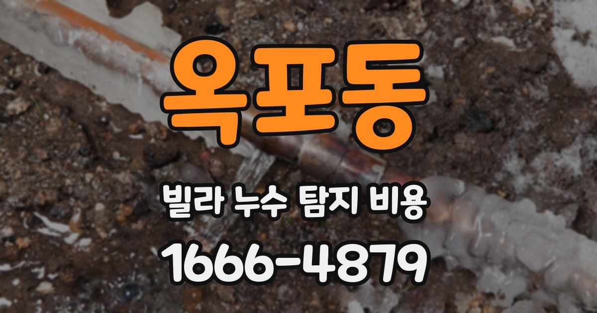 옥포동 빌라 누수 탐지 비용