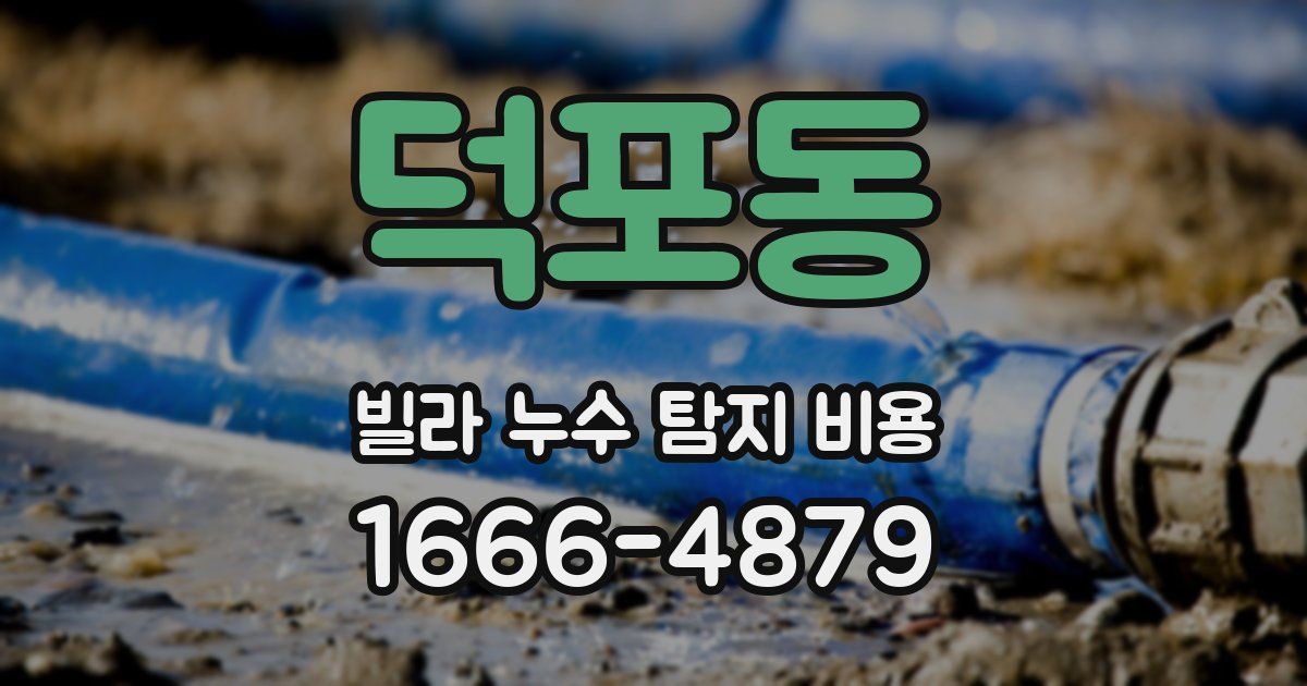 덕포동 빌라 누수 탐지 비용