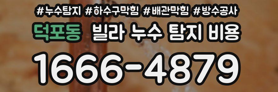 덕포동 빌라 누수 탐지 비용