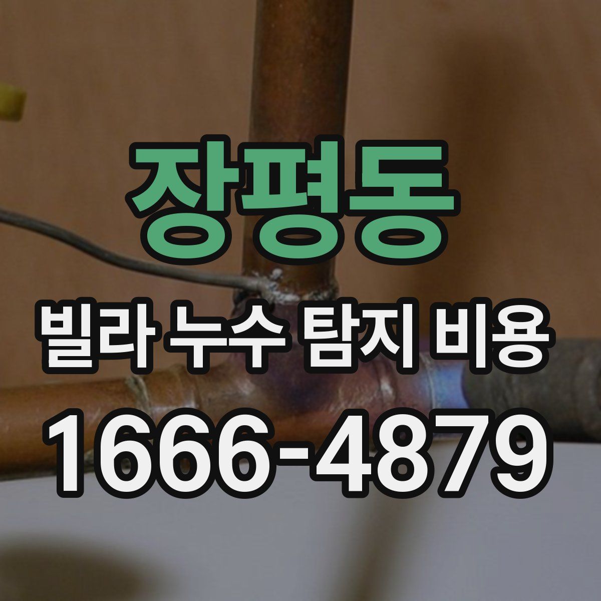 장평동 빌라 누수 탐지 비용