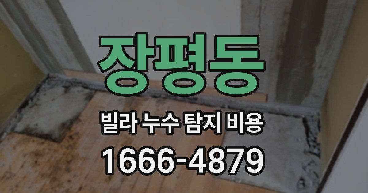 장평동 빌라 누수 탐지 비용