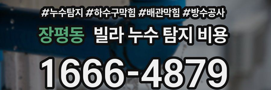 장평동 빌라 누수 탐지 비용