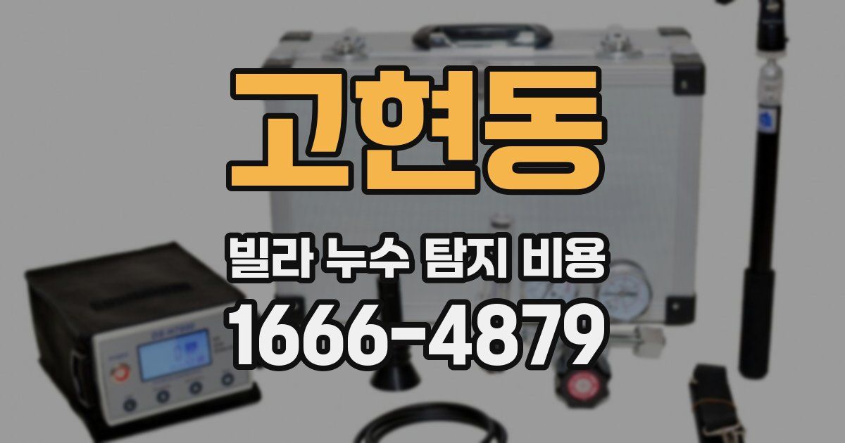 고현동 빌라 누수 탐지 비용