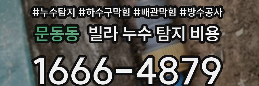 문동동 빌라 누수 탐지 비용