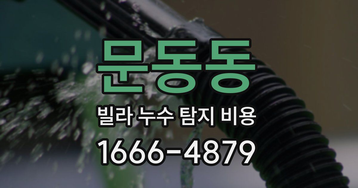 문동동 빌라 누수 탐지 비용