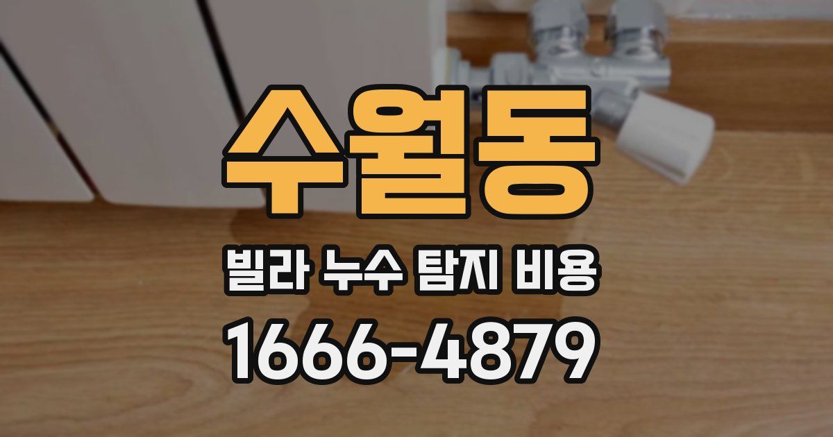 수월동 빌라 누수 탐지 비용