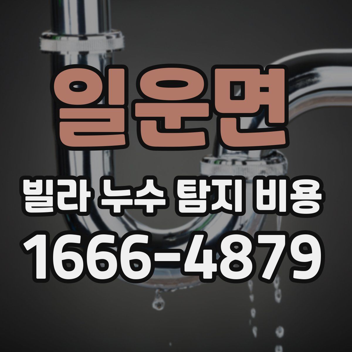 일운면 빌라 누수 탐지 비용