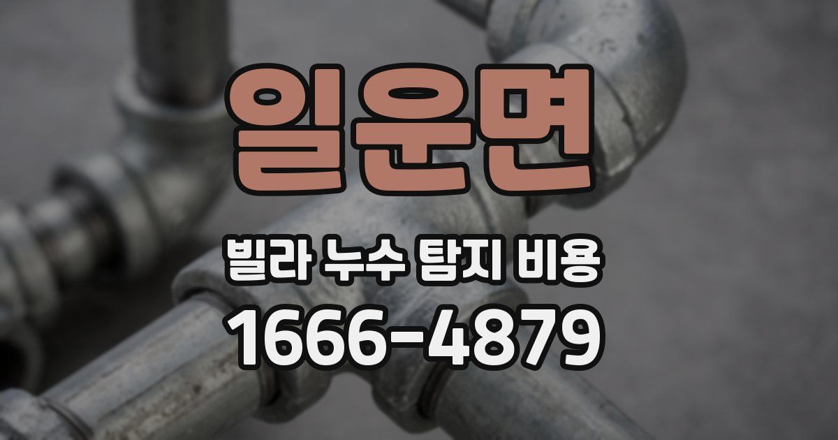 일운면 빌라 누수 탐지 비용