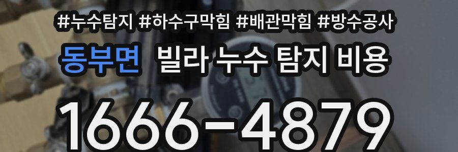동부면 빌라 누수 탐지 비용