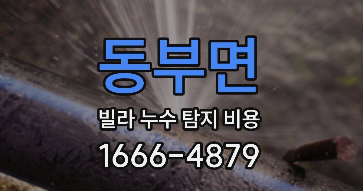 동부면 빌라 누수 탐지 비용