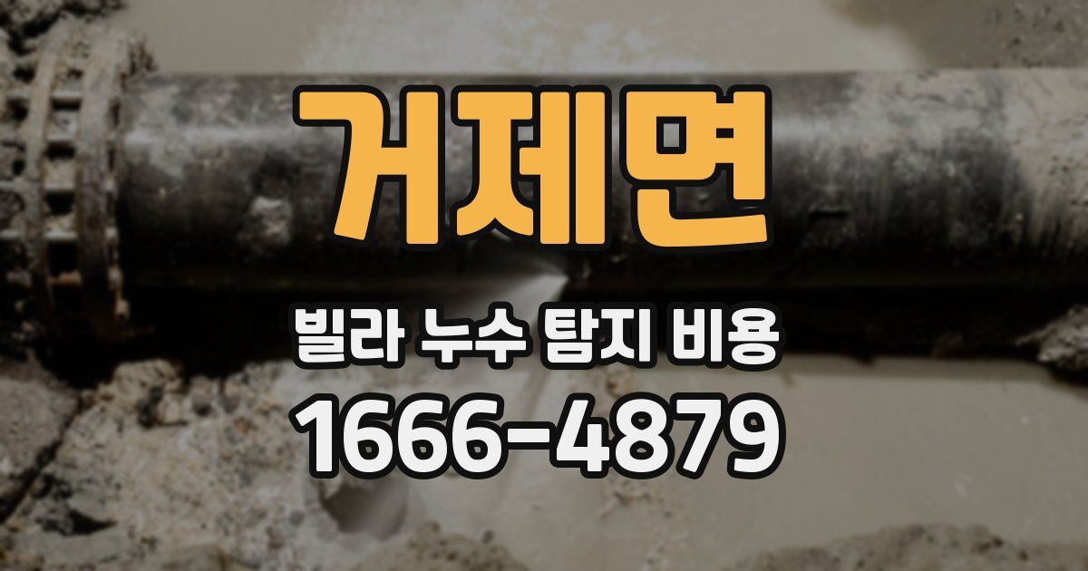 거제면 빌라 누수 탐지 비용