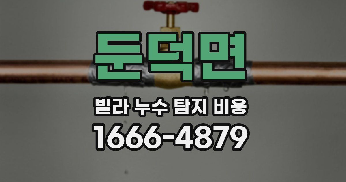 둔덕면 빌라 누수 탐지 비용