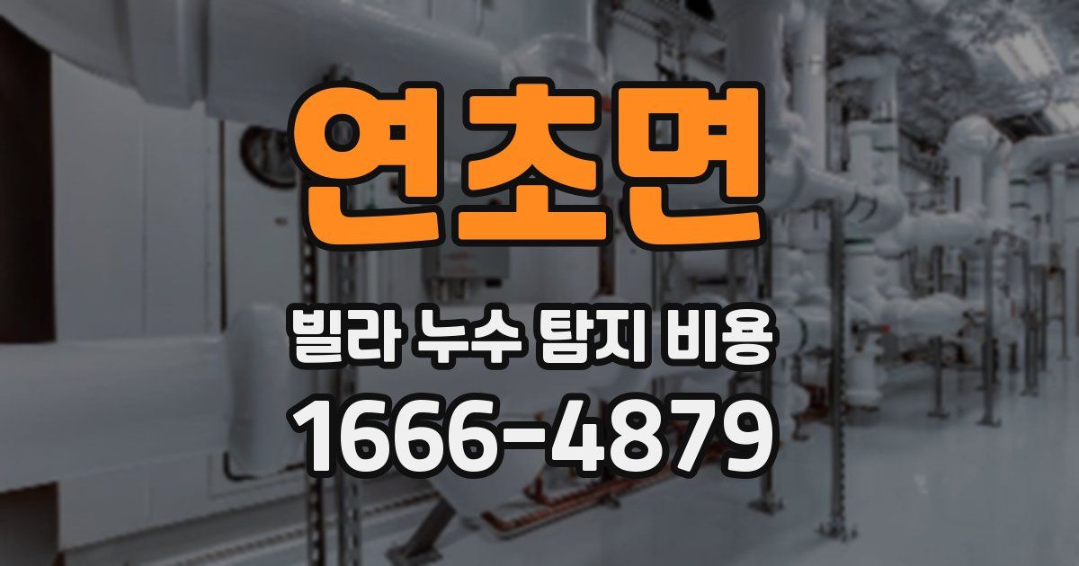 연초면 빌라 누수 탐지 비용