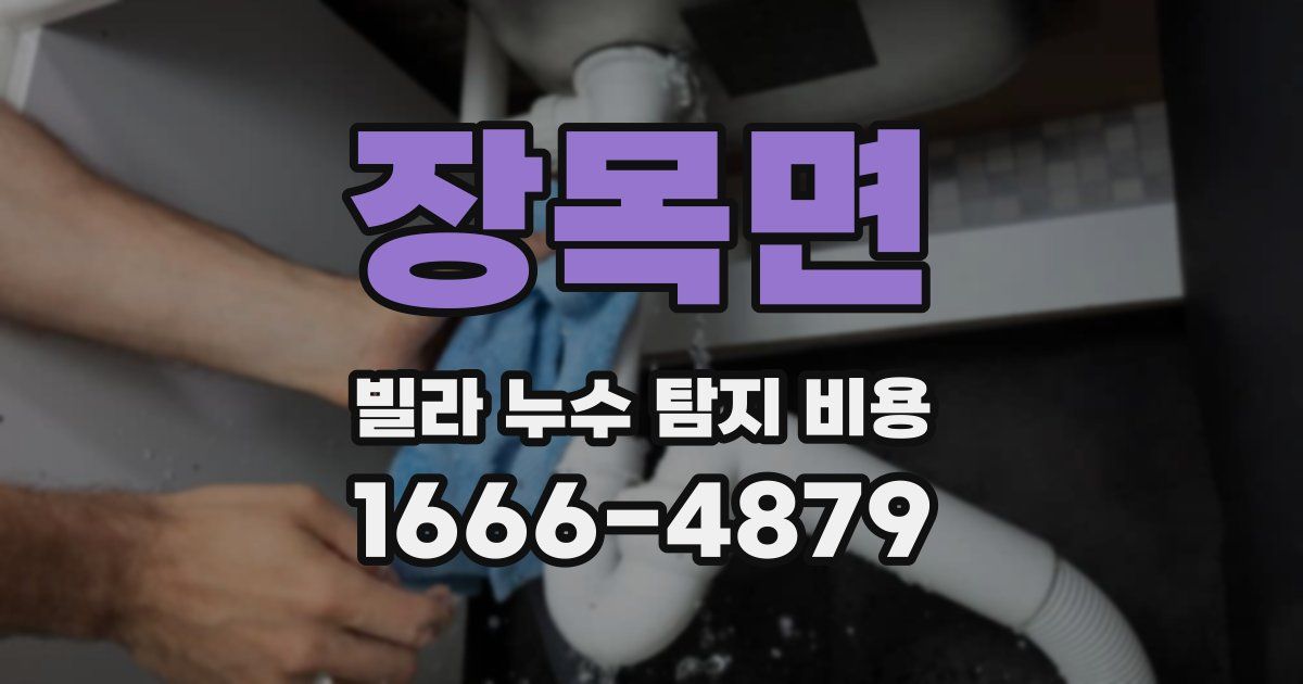장목면 빌라 누수 탐지 비용